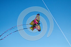 Low angle shot of a colorful butterfly-shaped kite under the sunlight and a blue sky