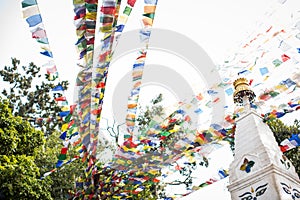 Low angle shot of colorful festive flags hung on wires with green trees in the background
