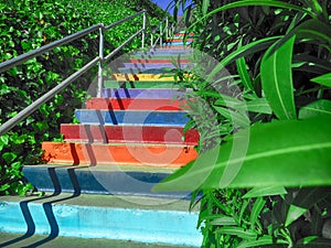 Low angle shot of colorful stairs surrounded by green plants leading to an adventurous journey