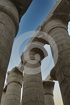 Low angle shot of columns with hieroglyphics in the Karnak temple in Egypt