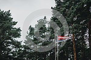 Low angle shot of the flag of Latvia in a park