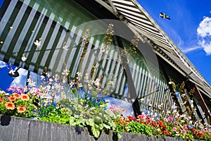 Low angle shot of flowers on the side of the building with the flag of Sweden on the roof