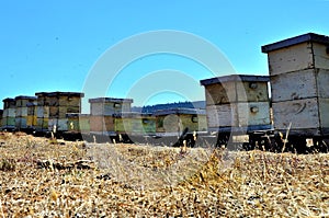 Low angle shot of a group of old hives in the middle of a field on a beautiful day