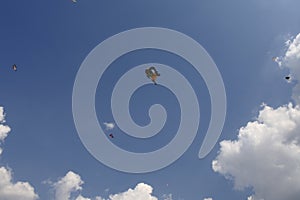 Low angle shot of kites flying on a cloudy day background