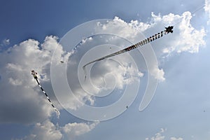 Low angle shot of kites flying on a cloudy day background