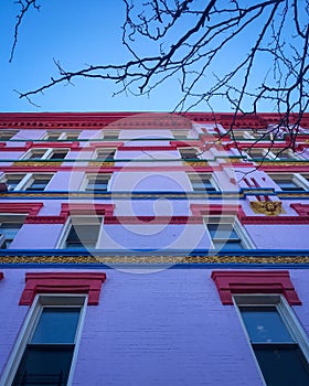 Low angle shot of a modern colorful building with some branches visible during daylight