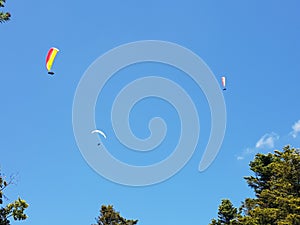 Low angle shot of parachutists flying in a blue sky