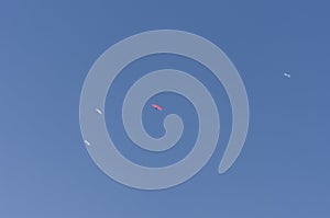 Low angle shot of people parachuting in the plain blue sky