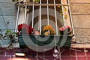 Low angle shot of a pot of colorful flowers in front of a window