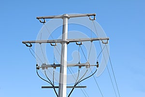 Low angle shot of a powerline