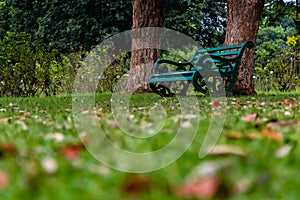 Low angle shot of sitting bench placed under two trees in the park. relaxation concept