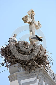 Low angle shot of storks on a nest near a cross under the sunlight and a blue sky