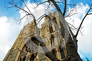 Truro Cathedral, Cornwall, England