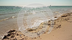 Low angle shot - wet sand on beach with some algae and small shells, calm sea waves, sunny clear skies, tiny boat in distance.