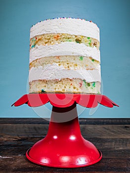 Low Angle of Three Tiered Naked Cake