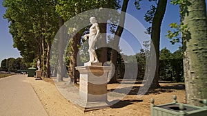 Low angle tracking dolly shot in Versailles gardens alley at sunny day in spring