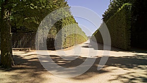 Low angle tracking shot walking in Versailles gardens at sunny day in spring