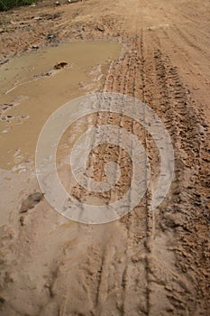 Low angle vertical medium shot of muddy jungle road with soft mud on the left side and fresh tire track.