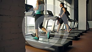 Low angle view of athletes walking on treadmills indoor of modern gym