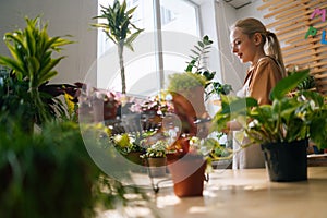 Low-angle view of attractive female gardener in apron watering potted houseplants in greenhouse surrounded by plants and