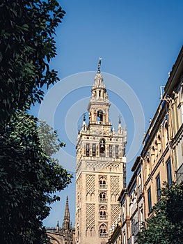 Low angle view of bell tower of the La Giralda over Seville cityscape, Andalusia, Spain photo