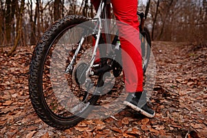 Low angle view of cyclist riding mountain bike on trail at sunrise in the forest