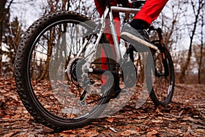 Low angle view of cyclist riding mountain bike on trail at sunrise in the forest