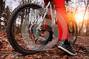Low angle view of cyclist riding mountain bike on trail at sunrise in the forest