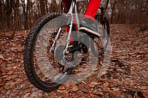 Low angle view of cyclist riding mountain bike on trail at sunrise in the forest