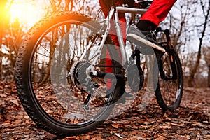 Low angle view of cyclist riding mountain bike on trail at sunrise in the forest