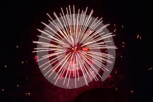 Low angle view of firework and balloon against sky at night