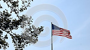 Low angle view of the flag of United States of America waving in the wind near a green tree on a blue sky background.