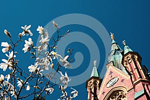 Low angle view of flowering tree and church tower