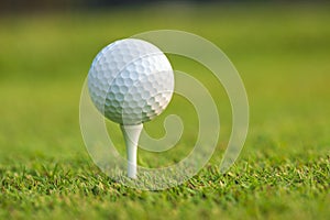 Low angle view of a golf ball on a tee in front of defocused background
