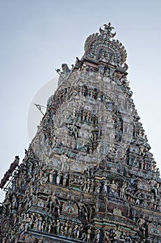 A low angle view of Kapleeshwarar temple, Mylapore,Chennai,Tamil Nadu,India