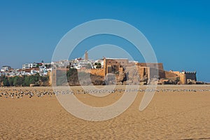 Low Angle view Kasbah of the Udayas in Rabat Morocco, Beach and buildings on Cliff