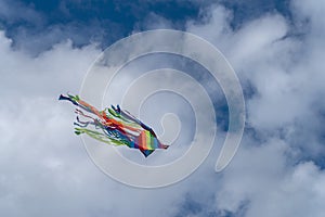 Kite flying in sky