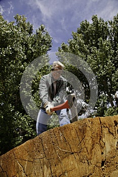 Low angle view of man chopping wood