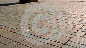 Low angle view of a man wearing summer sandals