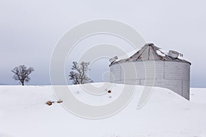 Low angle view of metal grain silo and bare trees in snowy field seen during an early winter morning