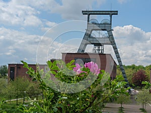 Low-angle view of a mining tower in Herten, Germany