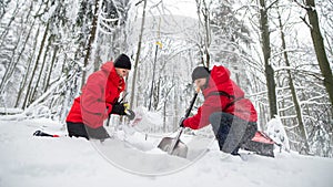 Low angle view of mountain rescue service on operation outdoors in winter in forest, digging snow with shovels.