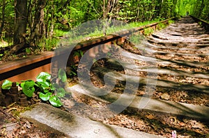 Low angle view of old and rusty rail in spring forest. Old railway in the forest. Famous Tunnel of Love in Klevan, Ukraine.