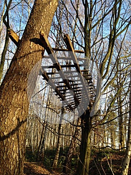 Low angle view of an old wooden fence high in the trees against blue sky