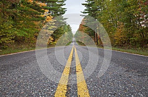 Low angle view of a road in northern Minnesota lined with pines and trees in fall color