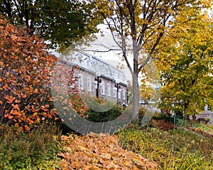 Low angle view of row of patrimonial houses on Sainte-Anne Street in the old town