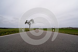 Low angle view of a rural road with cloudy sky in autumn