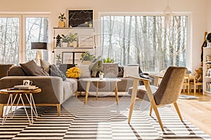Low angle view of a scandinavian, sunlit living room interior wi