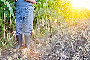 Low angle view of senior farmer standing in field