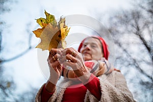 Low angle view of senior woman holding colourful autumn leaves, standing in park.